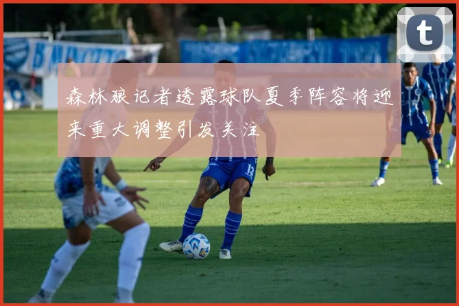 森林狼记者透露球队夏季阵容将迎来重大调整引发关注