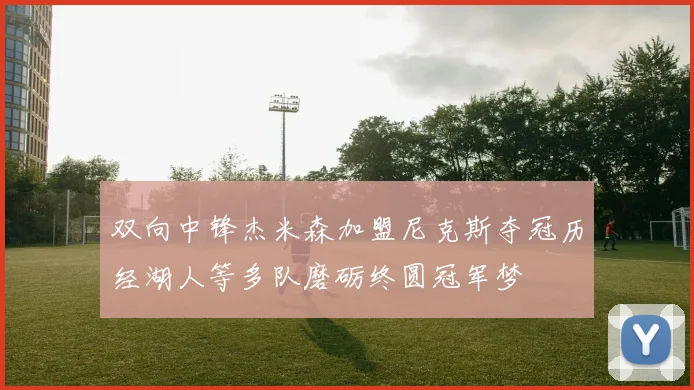 双向中锋杰米森加盟尼克斯夺冠历经湖人等多队磨砺终圆冠军梦
