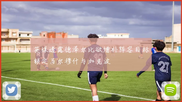 英媒透露德泽尔比欲增补阵容目标锁定马尔穆什与加克波