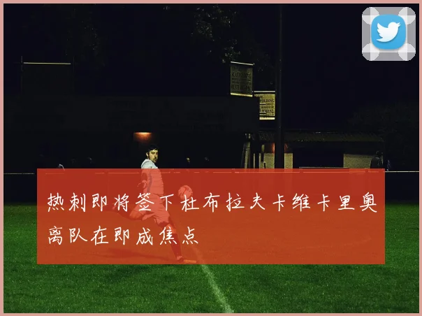 热刺即将签下杜布拉夫卡维卡里奥离队在即成焦点